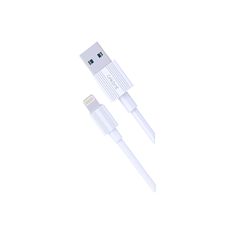 Cable iPhone USB a Lightning - CB-09I Negro